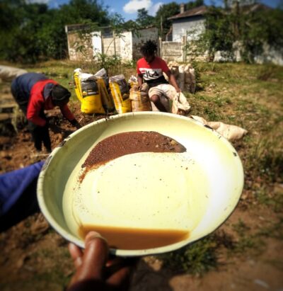 Gold Panning has become very popular in the Roodepoort area.