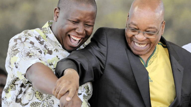 Julius Malema says he has no relationship with Jacob Zuma